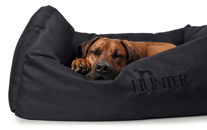 HUNTER Hundesofa Gent